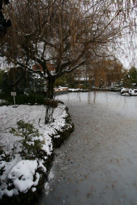 IMG_9983.JPG