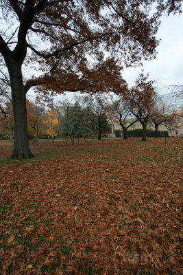IMG_1249.JPG