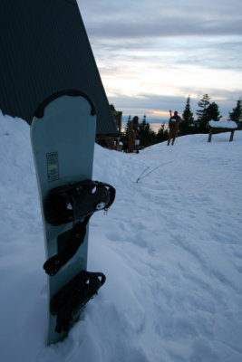 Grouse Mountain