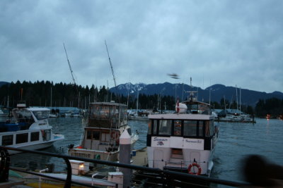 IMG_0895.JPG