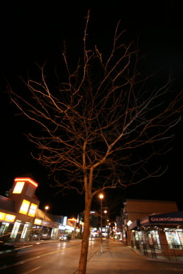 IMG_1454.JPG
