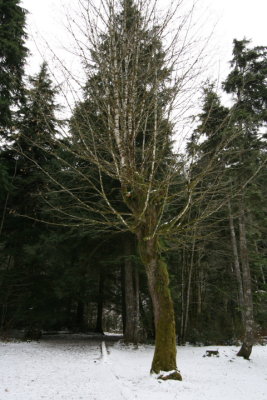 DPP_015.JPG
