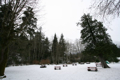 DPP_016.JPG