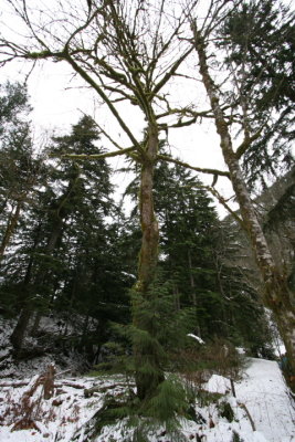 DPP_019.JPG