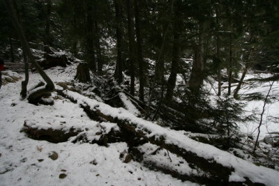 DPP_020.JPG