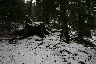 DPP_022.JPG