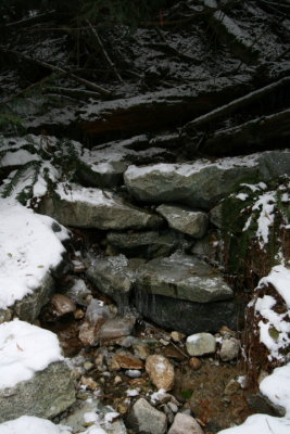DPP_028.JPG