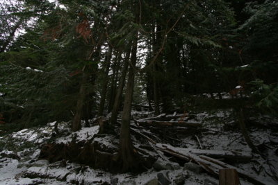 DPP_029.JPG