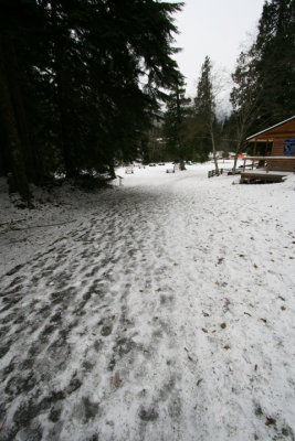 DPP_035.JPG