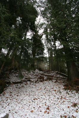 DPP_037.JPG