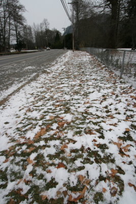 DPP_040.JPG