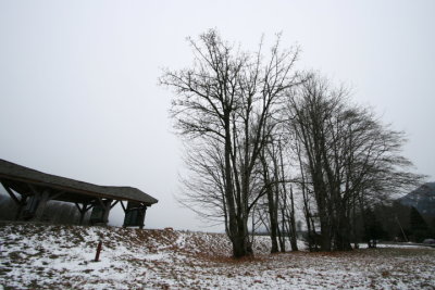 DPP_041.JPG