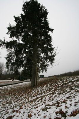 DPP_043.JPG