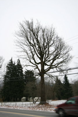 DPP_049.JPG