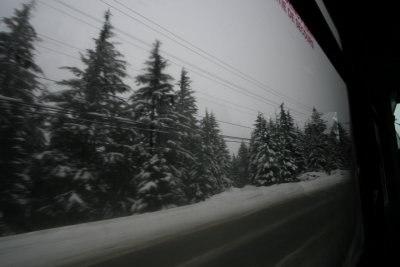 DPP_054.JPG