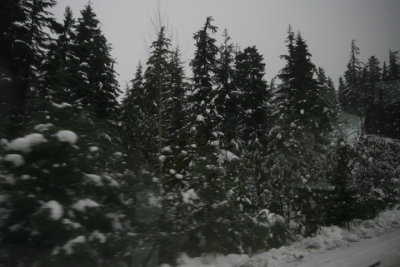 DPP_058.JPG