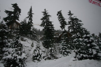 DPP_064.JPG