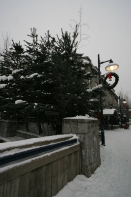 DPP_083.JPG