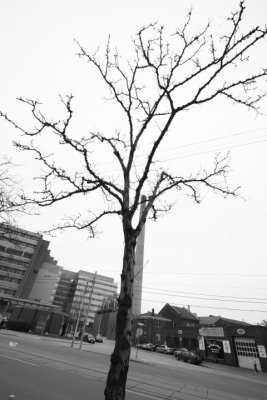DPP_015.JPG