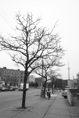 DPP_016.JPG