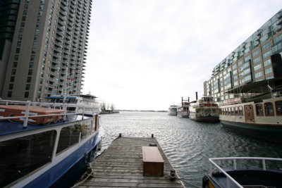 DPP_004.JPG