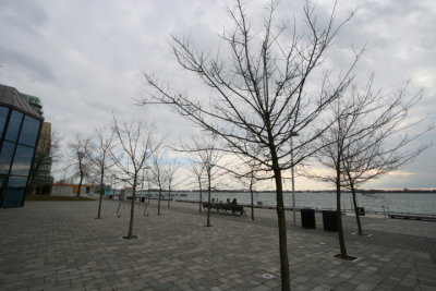 DPP_009.JPG