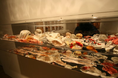 DPP_020.JPG