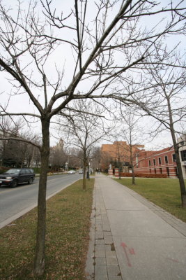 DPP_001.JPG