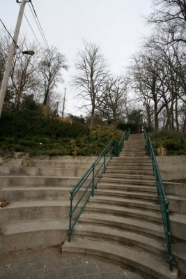 DPP_005.JPG