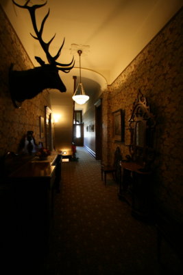 DPP_086.JPG