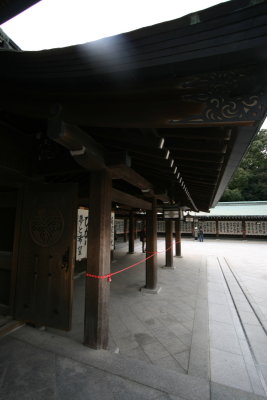 IMG_3000.JPG