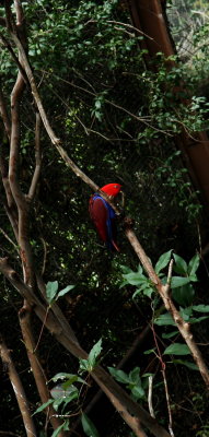 IMG_4154.JPG