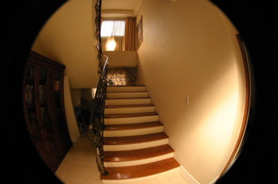 DPP_0004.JPG