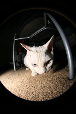 DPP_0009.JPG