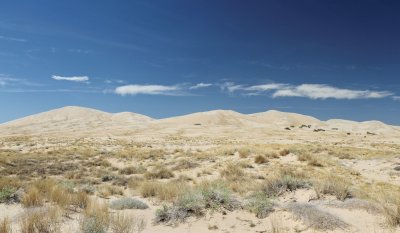 Mojave desert