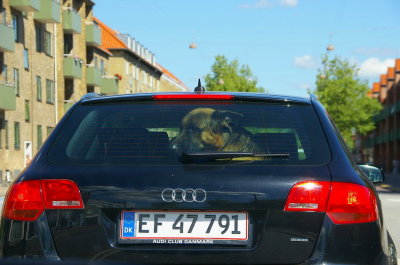 Backseat driver