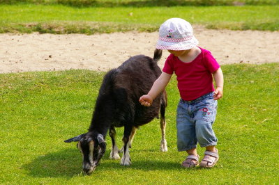 A boy and a goat