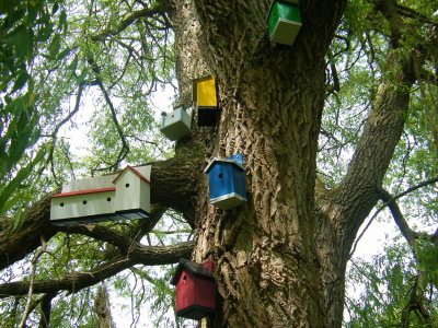 Birdhouses