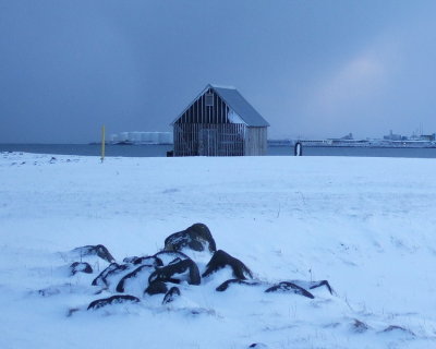 Winter morning