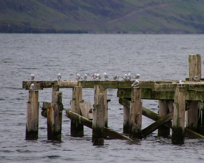 The old bridge