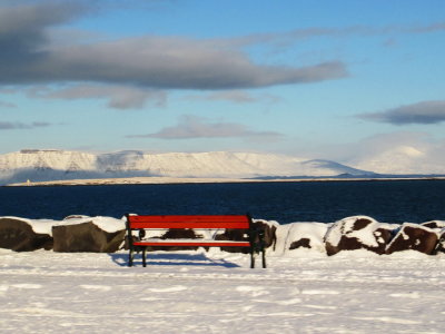 Lonely bench