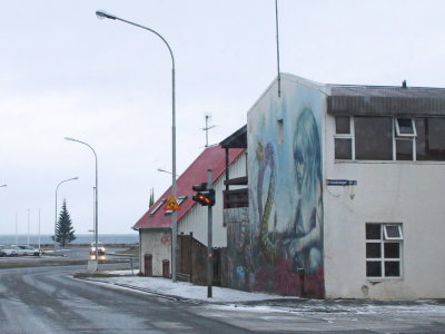 Vi Hringbraut