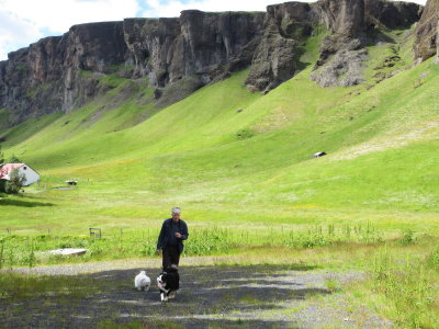 Walking the dogs