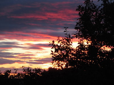 Sunset last night