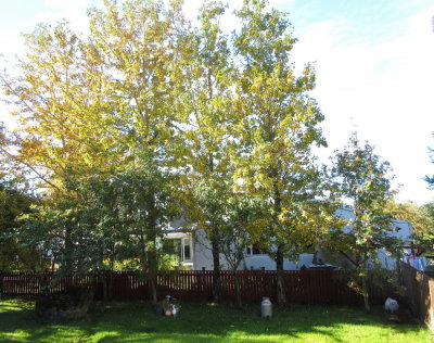 One more sunny day