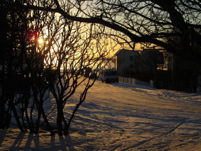Winter evening