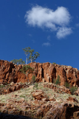 Ormiston Gorge