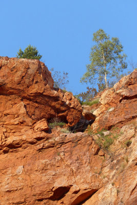 Simpsons Gap