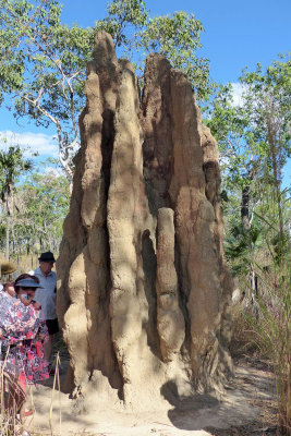 Litchfield Parl Termite mound