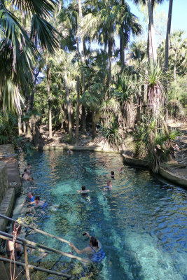 Mataranka Springs